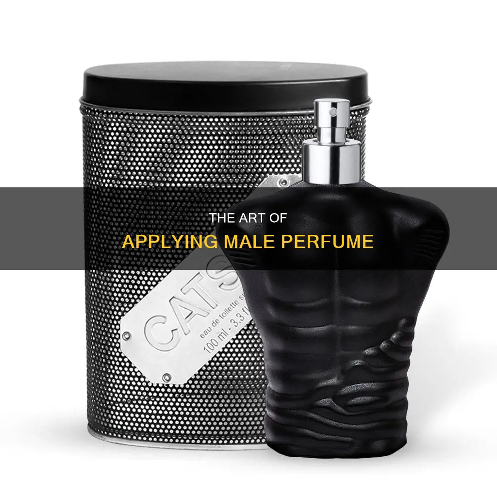 how to apply male perfume