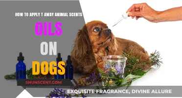 Effective Tips for Applying T-Away Animal Scents Oils on Dogs