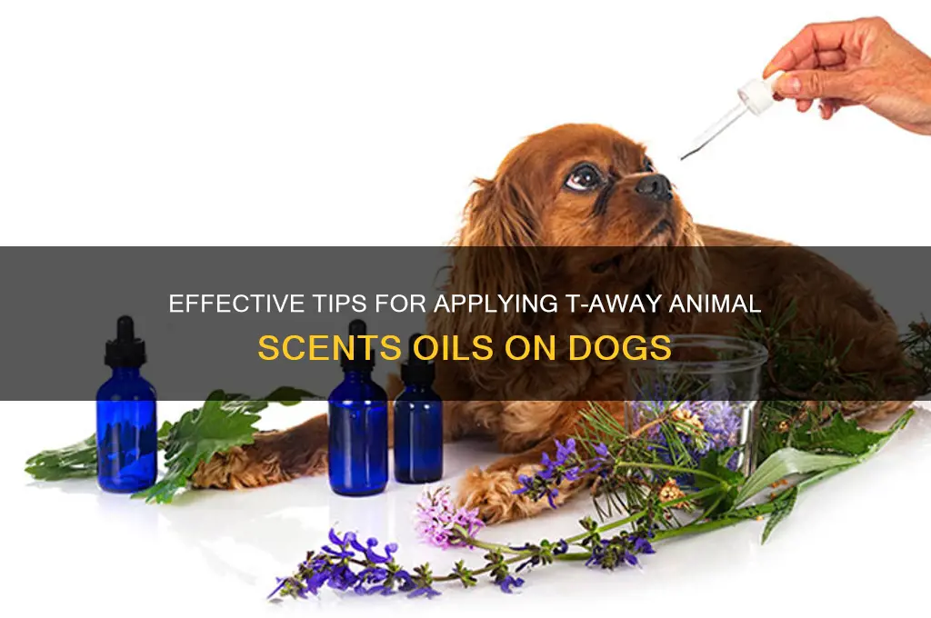 how to apply t away animal scents oils on dogs