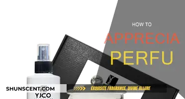 Explore the Art of Appreciating Perfumes