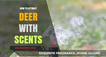 Effective Deer Attracting Scents: Tips for Luring Whitetail Deer