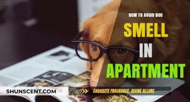Fresh Living: Tips to Keep Your Apartment Smelling Dog-Free