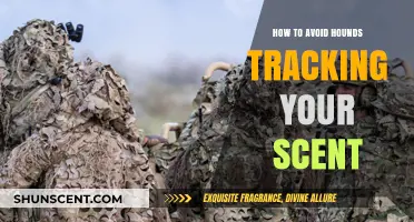 Outsmart Tracking Hounds: Proven Techniques to Conceal Your Scent Effectively