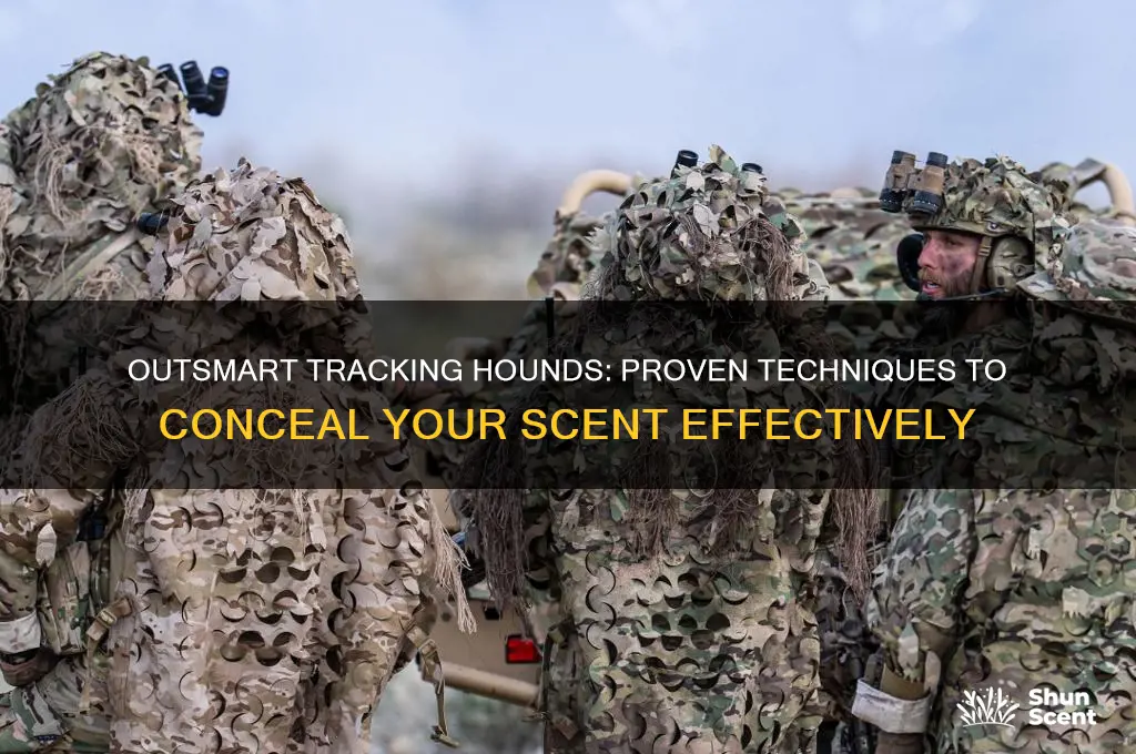 how to avoid hounds tracking your scent
