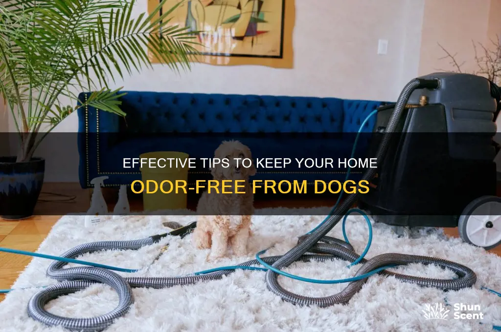 how to avoid scent from dogs