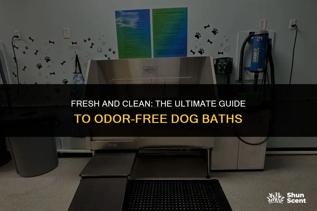 how to bathe your dog no smell after