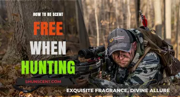 Mastering Scent Control: Essential Tips for Stealthy Hunting Success