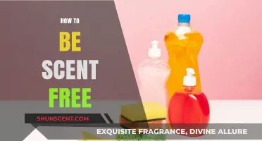 Mastering Scent-Free Living: Essential Tips for Odorless Adventures