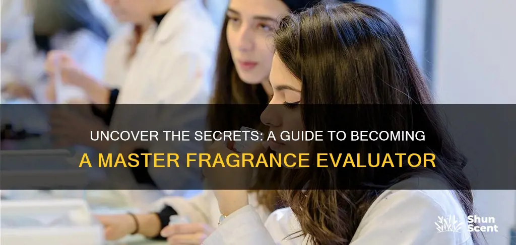 how to become a fragrance evaluator