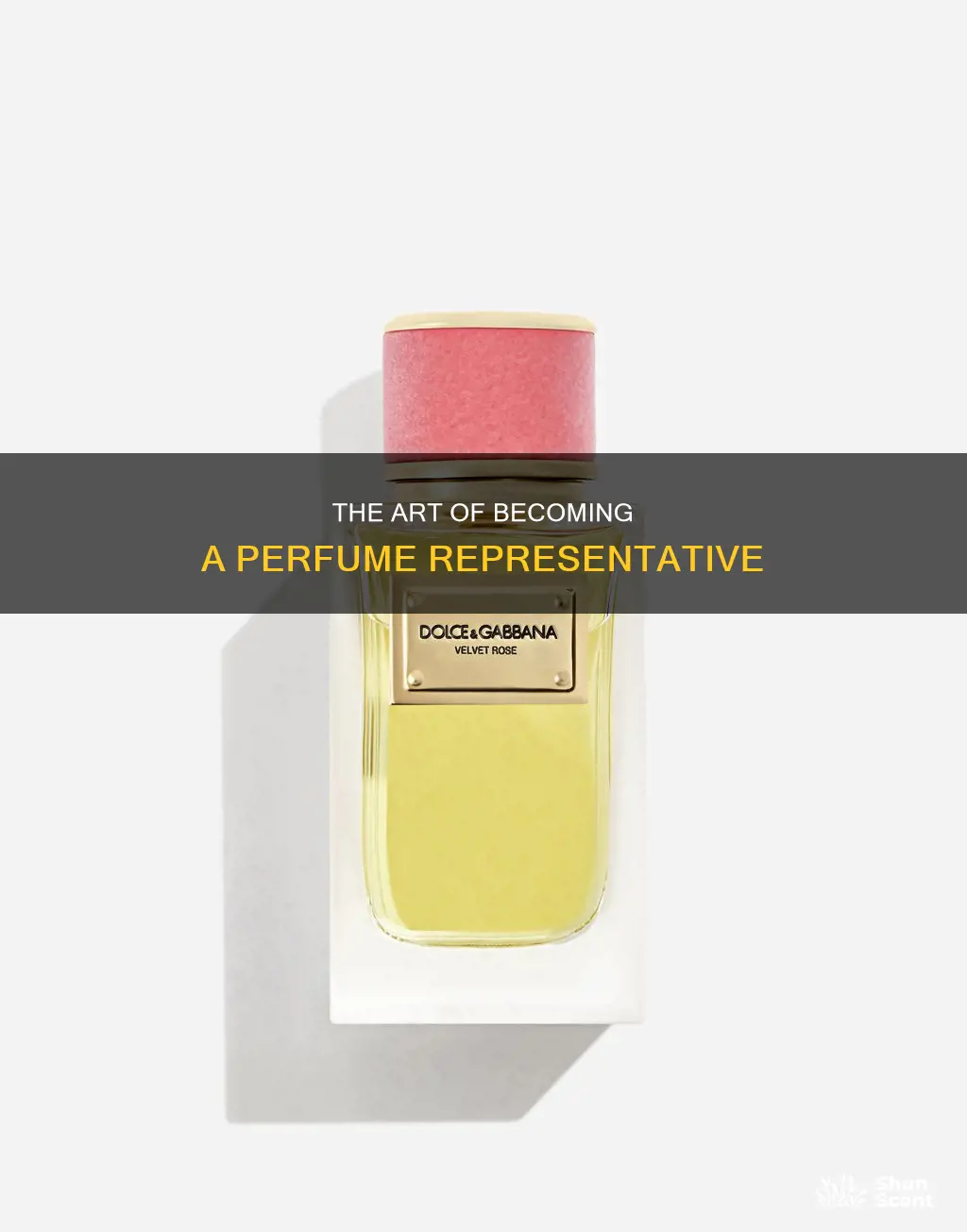 how to become a perfume rep