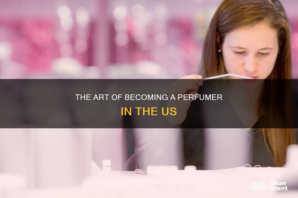 how to become a perfumer in the united states