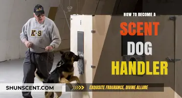 Mastering the Art of Scent Detection: A Guide to Becoming a Handler