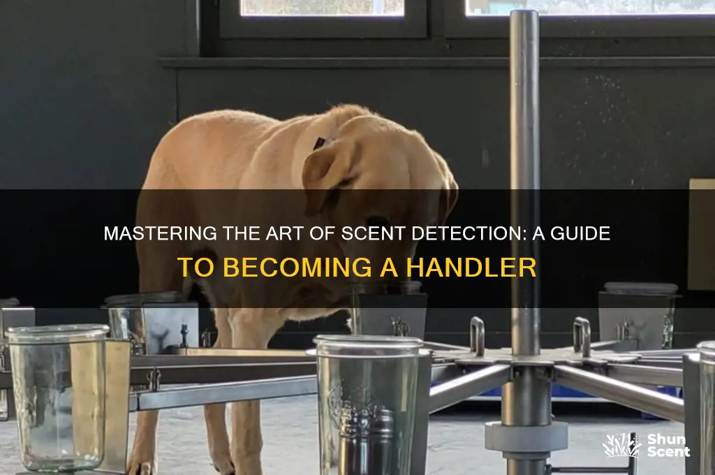 how to become a scent dog handler