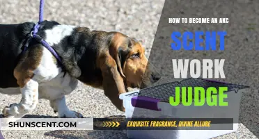Mastering the Art of AKC Scent Work Judging: A Comprehensive Guide