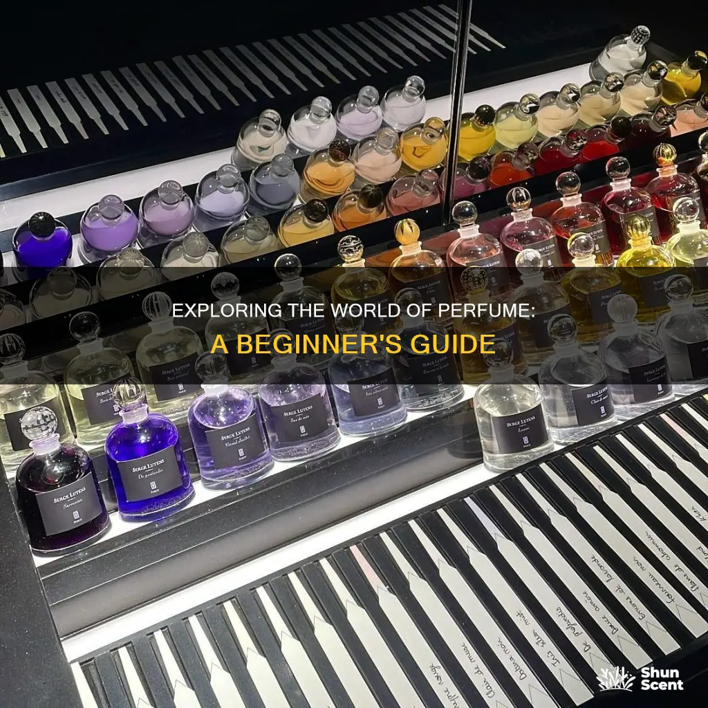 how to become interested in perfume