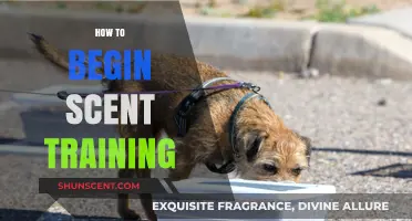 Mastering Scent Training: A Beginner's Guide to Getting Started