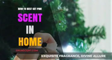Infuse Your Home with Natural Pine Scents: Simple, Effective Methods