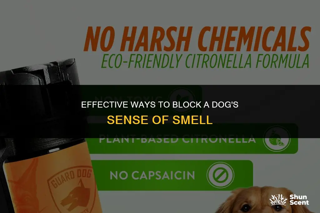 how to block a dog
