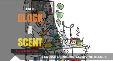 Effective Ways to Neutralize and Block Unwanted Scents Permanently