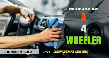 Effective Ways to Eliminate Unwanted Odors from Your Four-Wheeler