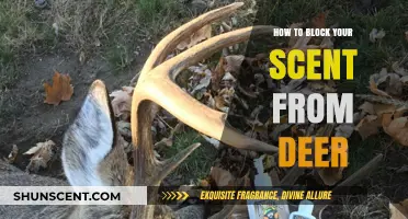 Master Deer Hunting: Proven Scent-Blocking Techniques for Stealth Success