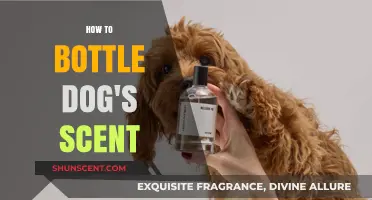 Capturing Your Dog's Unique Scent: A Step-by-Step Guide to Bottling