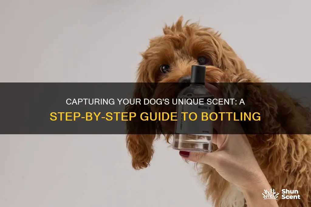 how to bottle dog