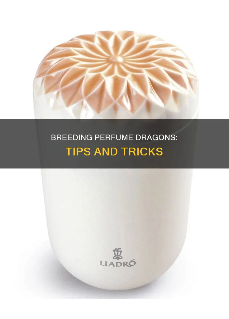 how to breed perfume dragon