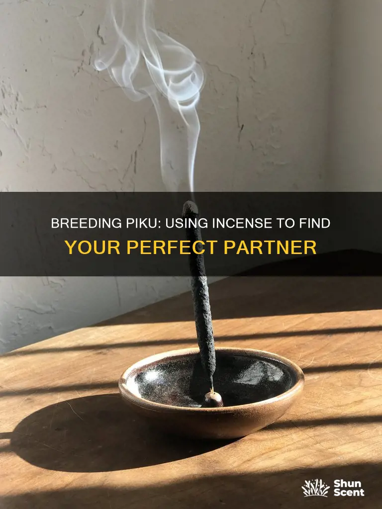 how to breed piku from incense