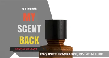 Reviving Your Signature Scent: Tips to Restore Your Lost Fragrance
