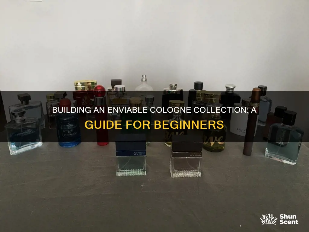 how to build a cologne collection