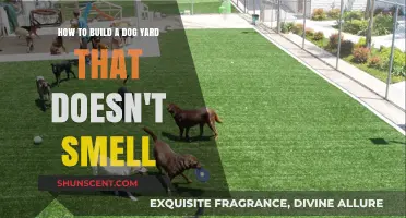 Creating a Fresh and Odor-Free Dog Yard: A Comprehensive Guide