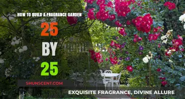 Scented Sanctuary: Crafting a Fragrant 25x25 Garden Paradise