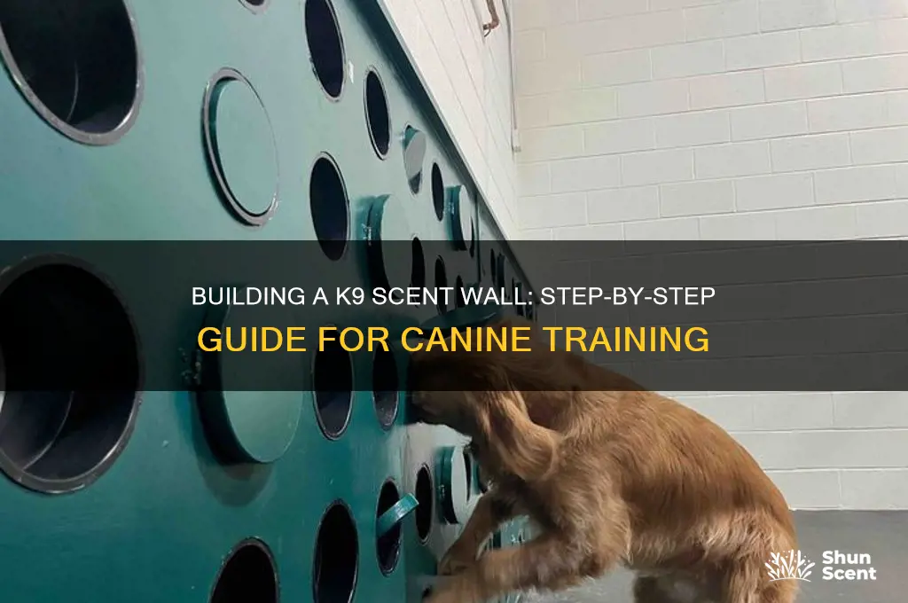 how to build a k9 scent wall