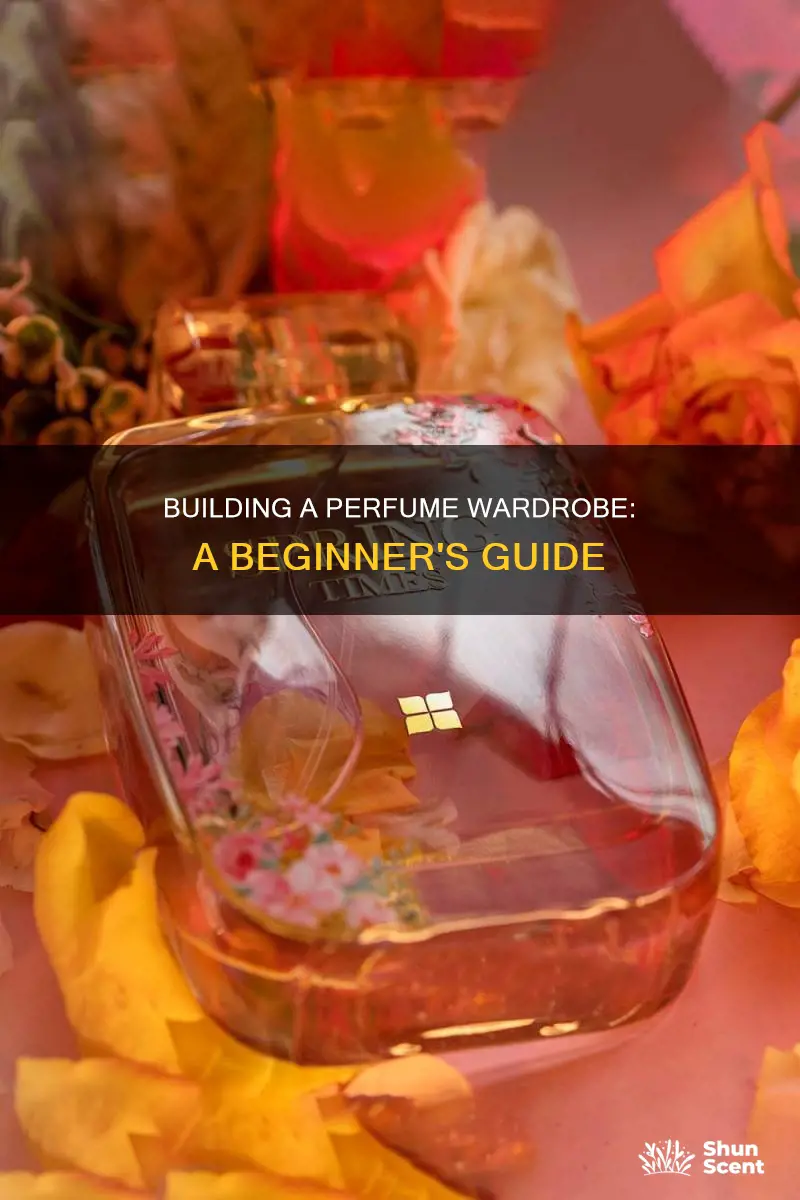 how to build a perfume collection