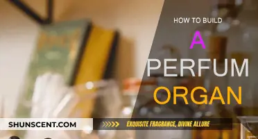 Building a Perfume Organ: A Beginner's Guide