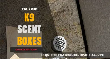 DIY K9 Scent Boxes: Easy Steps to Enhance Your Dog's Training