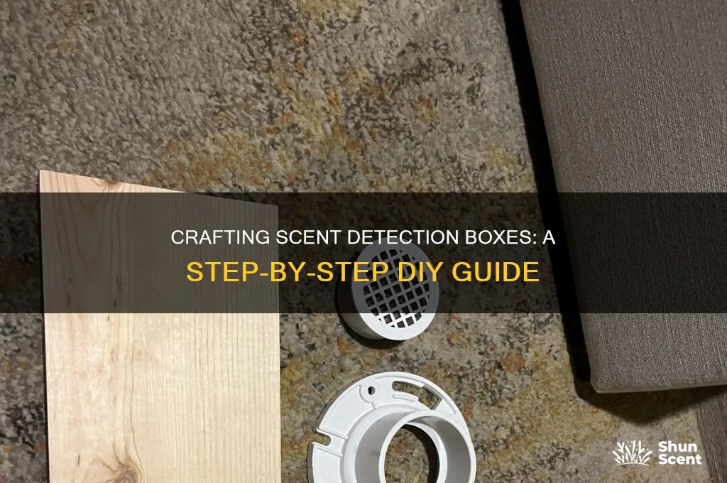 how to build scent detection boxes