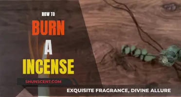 The Art of Incense Burning: A Beginner's Guide