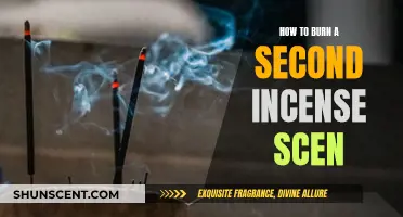 Creating a Relaxing Atmosphere: Burning a Second Incense Stick