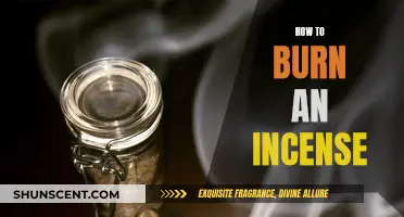 The Art of Incense Burning: A Beginner's Guide