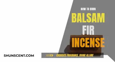 Burning Balsam Fir Incense: A Beginner's Guide to Getting Started