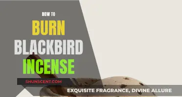 Blackbird Incense: Burning Rituals and Traditions