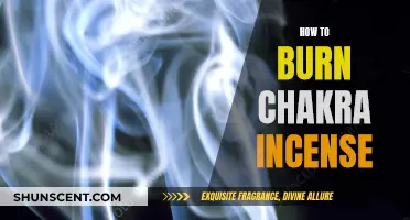 The Ultimate Guide to Burning Chakra Incense