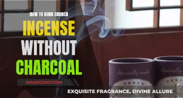 Burning Church Incense Without Charcoal: The Electric Incense Burner Method