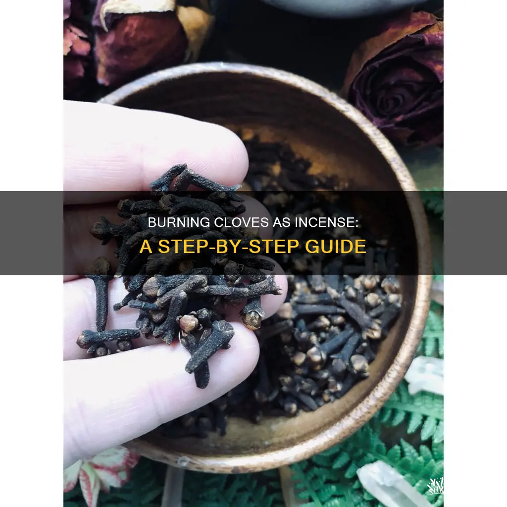 how to burn cloves as incense