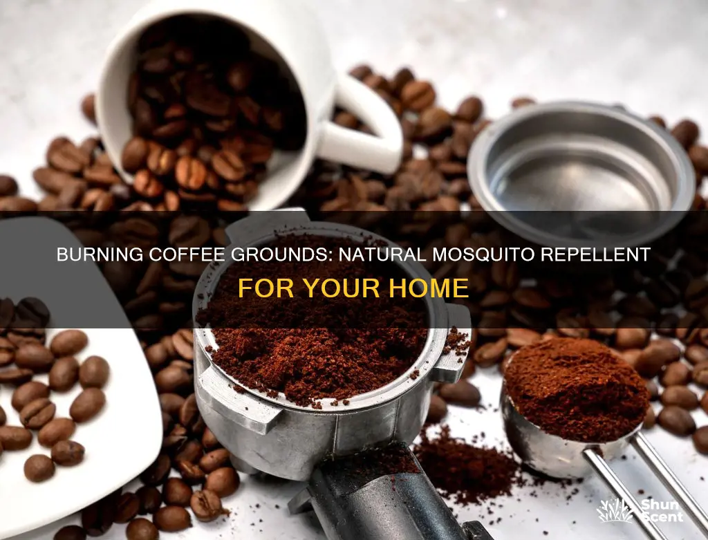how to burn coffee grounds like incense for mosquitoes