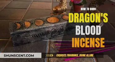 Burning Dragon's Blood Incense: A Beginner's Guide