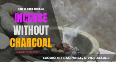 Burning Herbs Without Charcoal: Electric Incense Burners