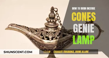 Burning Incense Cones: Genie Lamp Guide for Beginners